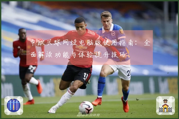 中欧买球网址电脑版使用指南：全面解读功能与体验提升技巧
