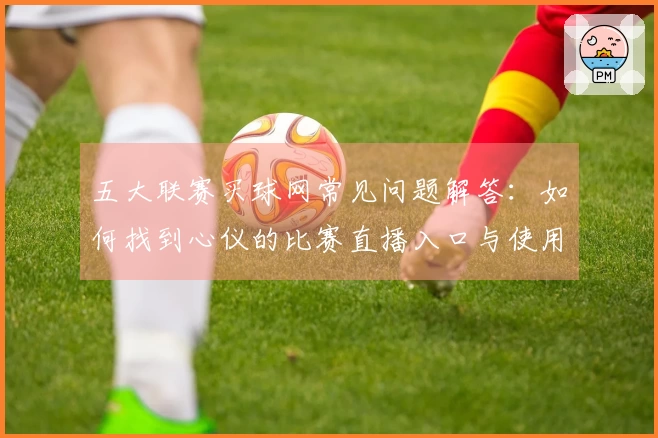 五大联赛买球网常见问题解答：如何找到心仪的比赛直播入口与使用指南